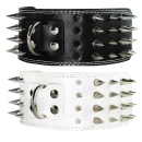 Hunde Lederhalsband mit Spitzen Nieten 7,5cm Breit