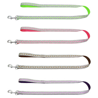 Hundeleine Nylonleine Candy Reflektierend Limone 25mm / 120cm