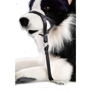 Hunde Erziehungshalfter XXL