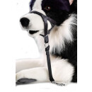 Hunde Erziehungshalfter XXL