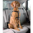 Car safety harness
