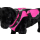 Sportgeschirr XL Pink