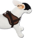 Survival Hundegeschirr Braun XL
