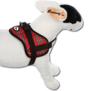 Survival Hundegeschirr Braun XL