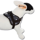 Survival Dog Harness Red XL