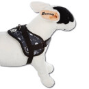 Survival Hundegeschirr Scottish Beige S