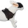 Survival Hundegeschirr Scottish Beige S