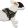 Survival Hundegeschirr Tartan Rot XS