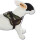 Survival Hundegeschirr Zebra XXS