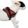 Survival Hundegeschirr