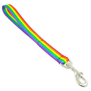 Guía corta Rainbow 25 mm