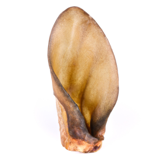 JUMBO Beef ears with mussel 50 pieces