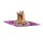 Aqua Coolkeeper cooling mat/cooling blanket Roses M 60 x 50 cm