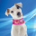 Aqua Coolkeeper cooling neckband/ cooling collar