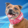 Aqua Coolkeeper cooling neckband/ cooling collar