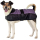 Manteau pour chien ours polaire violet
