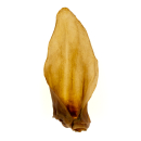 Deer ears