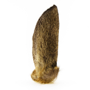 Deer ears with fur