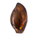 Wild boar ears