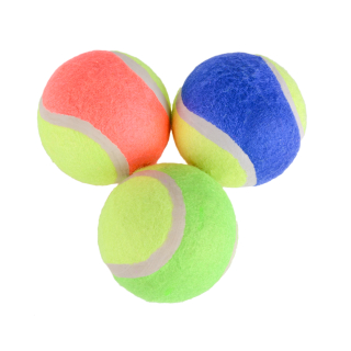Tennisball für Hunde