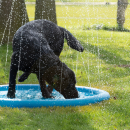 Aspersor de agua Splash Pool