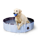 Splash dog pool