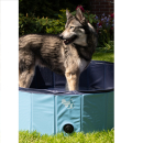 Splash dog pool