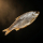 Roach
