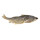 Roach 250 g