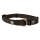 Collar Explor East