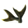 Yellowtail mackerel caudal fin