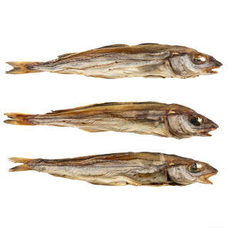 Schellfisch