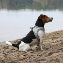 Ultimate Fit - Ergonomisches Step-In Hundegeschirr XXS - 30-35cm