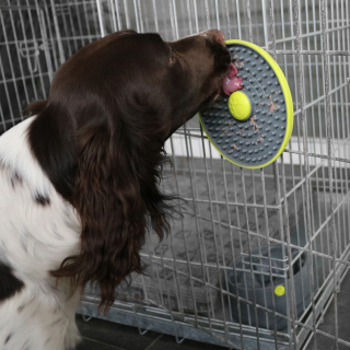 SVD.PET Leckerliball Für Hunde – Interaktiv, Verstellbar, Fördert Langsames Fressen – Hundespielzeug Grün