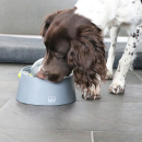 "Pelota multifunción "Twist & Lick