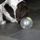 "Twist & Lick" Multifunktionaler Leckerli-Ball Weiß