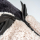 Manteau pour chien en laine de mouton
