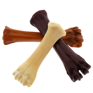 Rinder Metatarsal Knochen