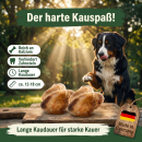 Rinderkniescheibe