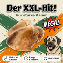 Rinderkniescheibe