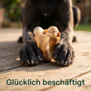 Rinderkniescheibe