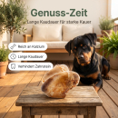 Rinderkniescheibe