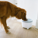 Trinkbrunnen für Katzen und Hunde Yuna 2 Liter