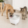 Trinkbrunnen für Katzen und Hunde Yuna 2 Liter