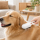 Dampf- und Massagebürste für Hunde, USB