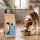 Premium Hundefutter Schwein mit Süßkartoffel & Apfel