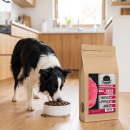 Premium Hundefutter Wild-Hirsch mit Süßkartoffel & Maulbeere