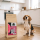 Premium Hundefutter Wild-Hirsch mit Süßkartoffel & Maulbeere
