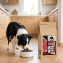 Premium Hundefutter Angus-Rind mit Süßkartoffel & Karotte