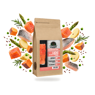 Premium Hundefutter Lachs mit Forelle, Süßkartoffel & Spargel Adult